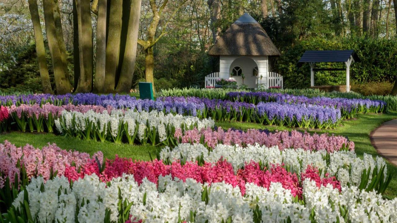 Molecaten Park Noordduinen Katwijk aan Zee Exterior foto