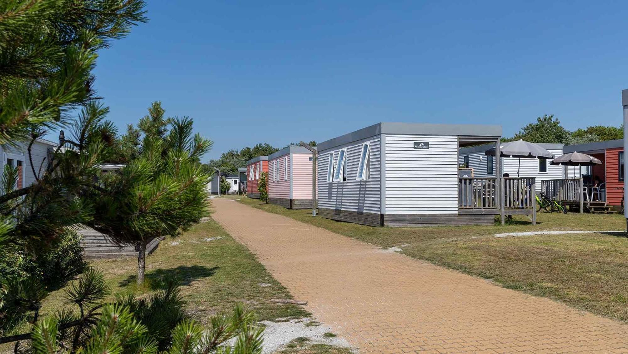 Molecaten Park Noordduinen Katwijk aan Zee Zimmer foto